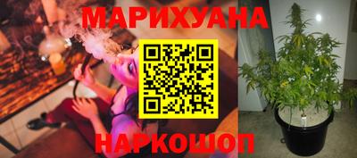 прущая мука Аша
