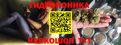 кокс Ачхой-Мартан