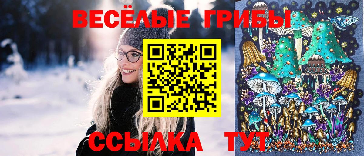 Галлюциногенные грибы мухоморы  дарнет шоп  Волжск  Вход с VPN 